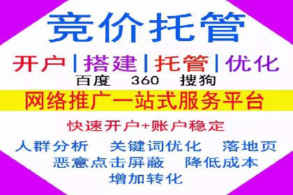 百度推广运营实战：成功案例解析